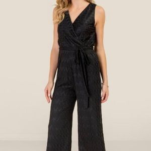 Francesca’s Jumpsuit